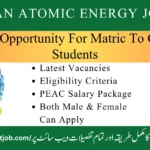  Atomic Energy Jobs 2025 Online Apply | PAEC Jobs Advertisement